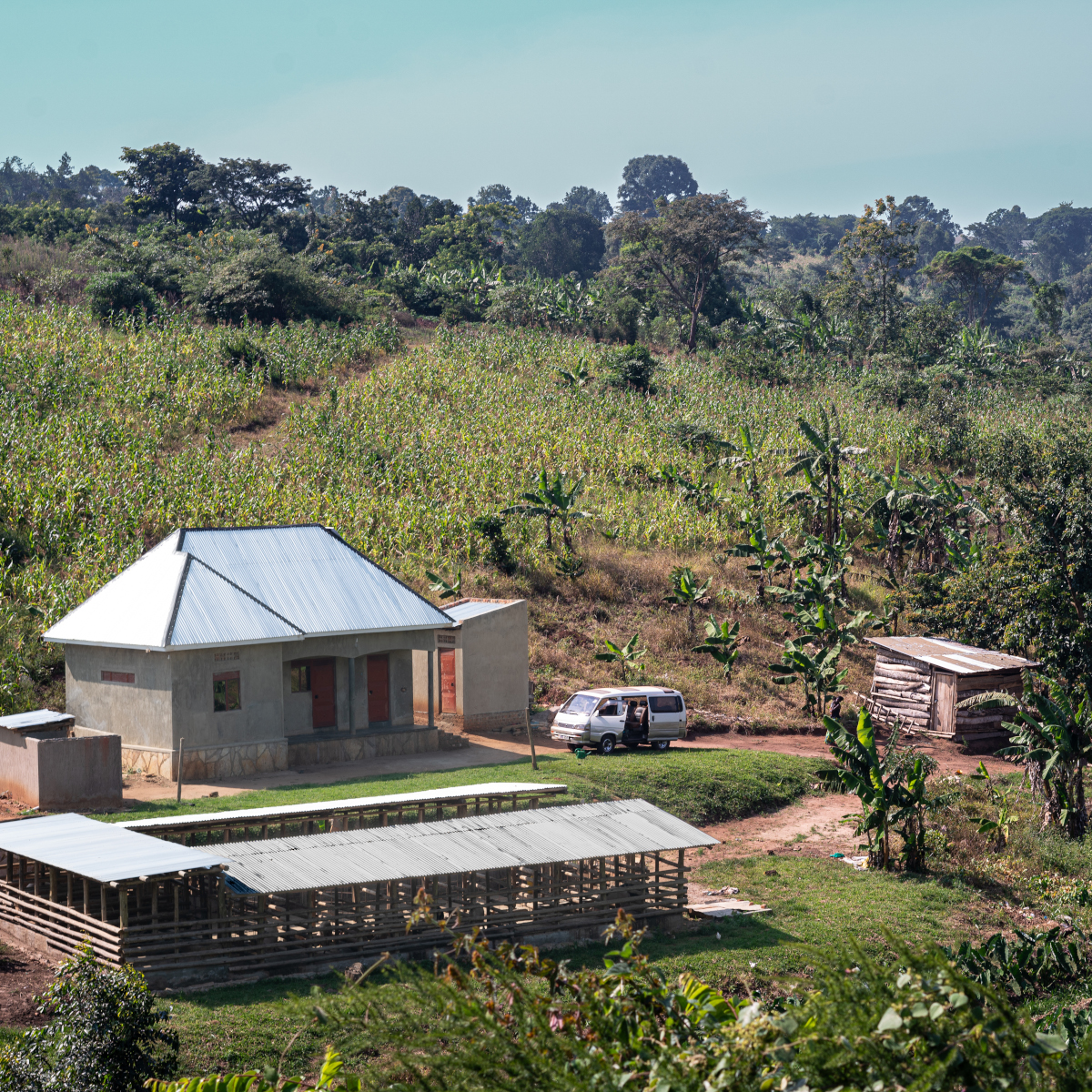 Photo of a farm buildings and crops in Uganda.